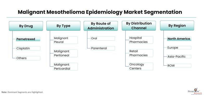 Malignant-Mesothelioma-Epidemiology-Market-Segmentation